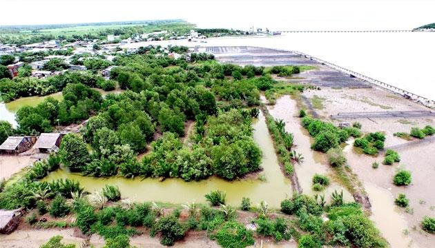 Ảnh chỉ mang tính minh họa. Nguồn Internet