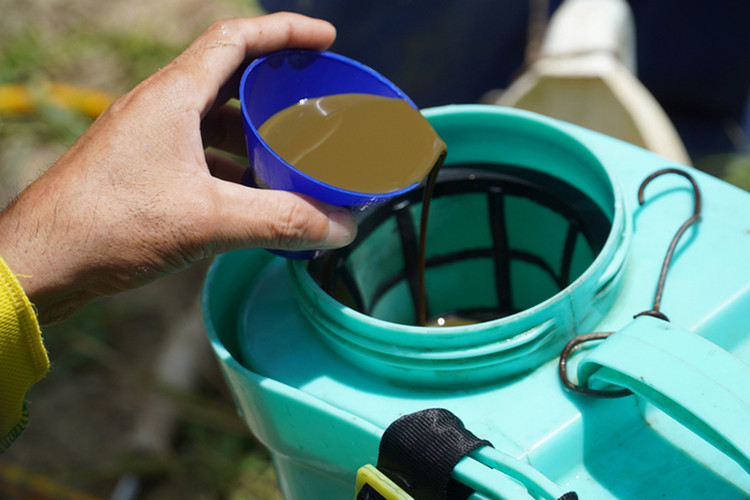 Ảnh chỉ mang tính minh họa. Nguồn Internet