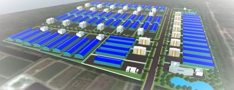 Ảnh chỉ mang tính minh họa. Nguồn Internet