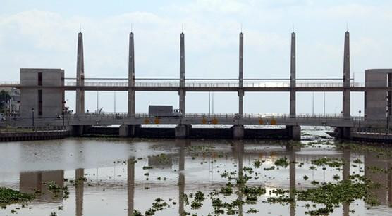 Ảnh chỉ mang tính minh họa. Nguồn Internet