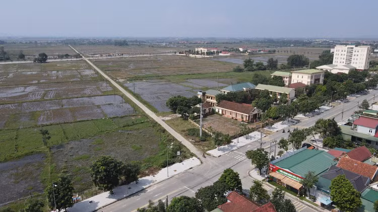 Ảnh chỉ mang tính minh họa. Nguồn Internet