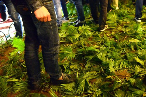 San phẳng vườn hoa trong đêm giao thừa ở Hà Nội ảnh 1 Vô tư giẫm lên thảm hoa, cỏ