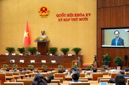 Phó Thủ tướng Chính phủ Bùi Thanh Sơn trình bày Tờ trình