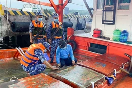 Quyết liệt triển khai việc theo dõi, nắm bắt tình hình thị trường, diễn biến cung cầu, giá bán xăng dầu