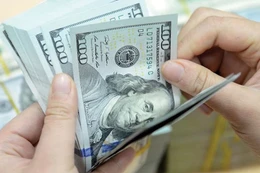 Đến nay, các yếu tố bên ngoài và biến động ngắn hạn của thị trường đã có dấu hiệu ổn định hơn.