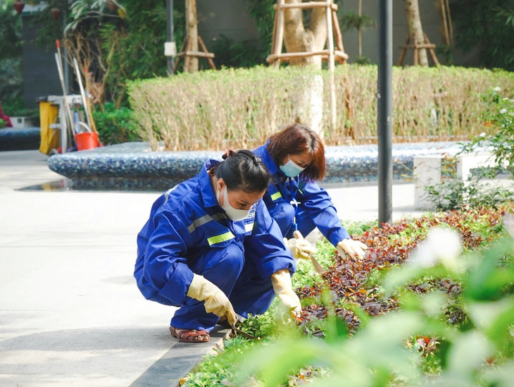 Nhân viên TNPM đang chăm sóc cảnh quan trong khu đô thị.