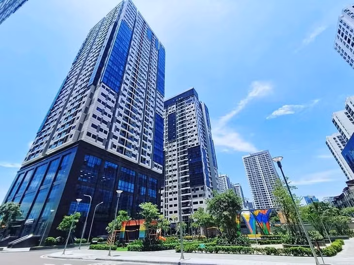 TNPM là đơn vị quản lý vận hành khu đô thị Goldseason kể từ khi được bàn giao.