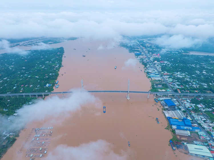 Cầu Rạch Miễu 2 về đích trước 5 tháng nhờ nỗ lực của các nhà thầu trong liên danh thi công