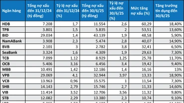 Nợ xấu và tăng trưởng tín dụng của các ngân hàng - Nguồn: Báo cáo tài chính quý II/2025 các ngân hàng