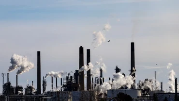 WB: Tăng trưởng toàn cầu năm 2026 vẫn bền bỉ trước áp lực thuế quan