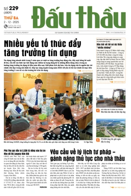 BÁO ĐẤU THẦU SỐ 229 - 2025