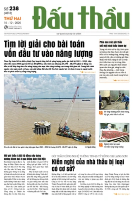 BÁO ĐẤU THẦU SỐ 238 - 2025