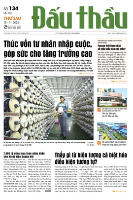 BÁO ĐẤU THẦU SỐ 134 - 2025