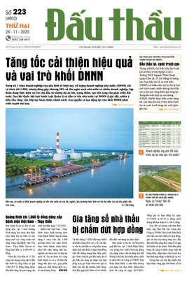 BÁO ĐẤU THẦU SỐ 223 - 2025