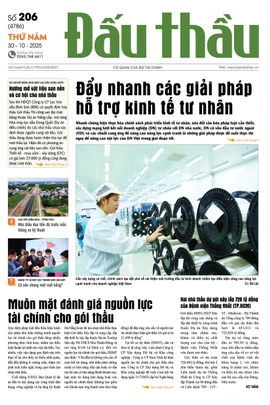 BÁO ĐẤU THẦU SỐ 206 - 2025