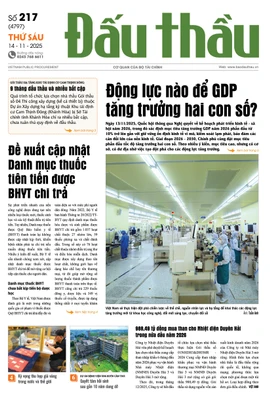 BÁO ĐẤU THẦU SỐ 217 - 2025