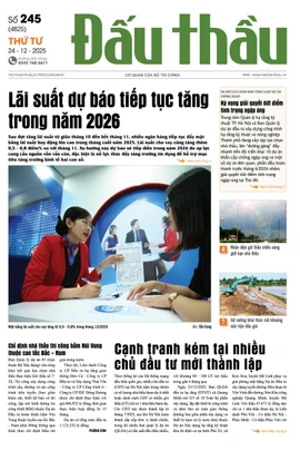 BÁO ĐẤU THẦU SỐ 245 - 2025