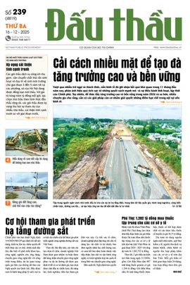 BÁO ĐẤU THẦU SỐ 239 - 2025