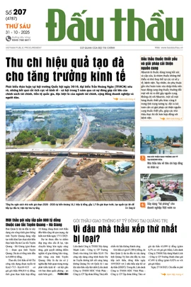 BÁO ĐẤU THẦU SỐ 207 - 2025