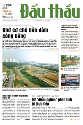 BÁO ĐẤU THẦU SỐ 234 - 2025