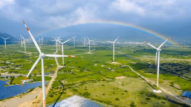 Theo MOU, Siemens Gamesa Renewable Energy sẽ là đơn vị cung cấp trang thiết bị, các giải pháp kỹ thuật cho BCG Energy để BCG Energy thực hiện lộ trình xây dựng hơn 500 MW điện gió ở Việt Nam trong thời gian tới (ảnh: internet)