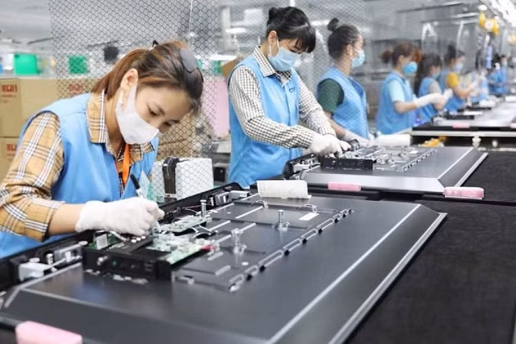 Doanh nghiệp gia nhập và tái gia nhập thị trường 5 tháng đầu năm 2025 tiếp tục có nhiều điểm sáng (ảnh: Internet)