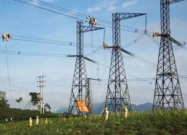 Công ty Truyền tải điện 2 thuộc Tổng công ty Truyền tải điện quốc gia vừa có thông báo về việc lựa chọn tổ chức đấu giá cho thuê sợi cáp quang trên tuyến đường dây 220, 500kV thuộc phạm vi quản lý của PTC2