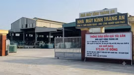 Ninh Bình đấu giá tài sản Nhà máy kính Tràng An với giá khởi điểm hơn 373 tỷ đồng. Ảnh minh họa: Ai tạo