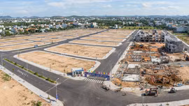 Đấu giá 198 lô đất tại phường Tuy Hòa (Đắk Lắk), dự kiến thu về hơn 287,1 tỷ đồng. Ảnh minh họa: Internet