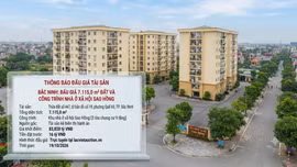 Bắc Ninh đấu giá 7.115,0 m² đất phường Quế Võ. Ảnhminh họa tạo bởi AI
