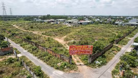 Đấu giá khu đất rộng hơn 64.000m² tại xã Long Phước (Đồng Nai). Ảnh minh họa tạo bởi AI