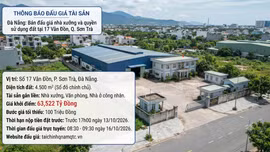 Đấu giá tài sản nhà xưởng và quyền sử dụng đất tại phường Sơn Trà (TP. Đà Nẵng). Ảnh minh họa: Ai tạo ra