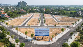 Ninh Bình đấu giá quyền sử dụng 80 lô đất tại khu dân cư Đông Phong - Địch Lễ. Ảnh minh họa: Ai tạo