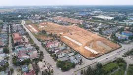 Đấu giá khu đất hơn 3.000 m² làm nhà ở thương mại, phường Nam Đông Hà (Quảng Trị). Ảnh minh họa: internet