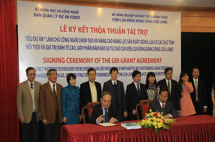 WB tài trợ 3 triệu USD để nâng cao năng lực sản xuất giống lúa. Ảnh Internet