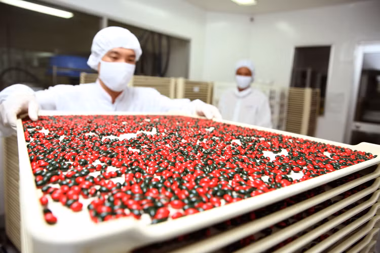 Tính đến 31/3/2019, có 31/59 Sở Y tế và 10/22 bệnh viện trực thuộc Bộ Y tế có tỷ lệ thực hiện kết quả trúng thầu mua thuốc tập trung đạt dưới 31,25%. Ảnh: Nhã Chi
