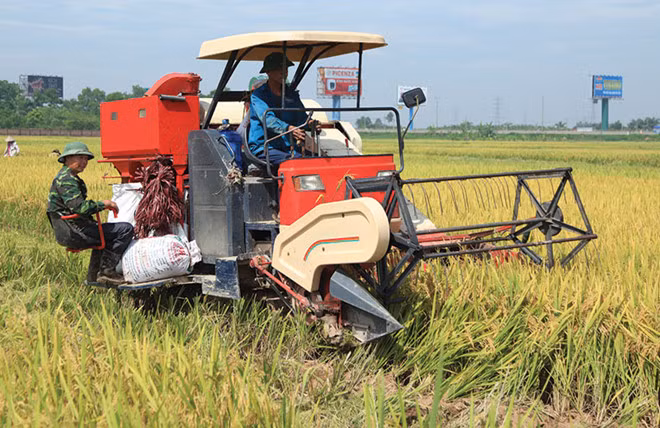 Lần đầu tiên sau nhiều năm, tăng trưởng khu vực nông nghiệp bị suy giảm