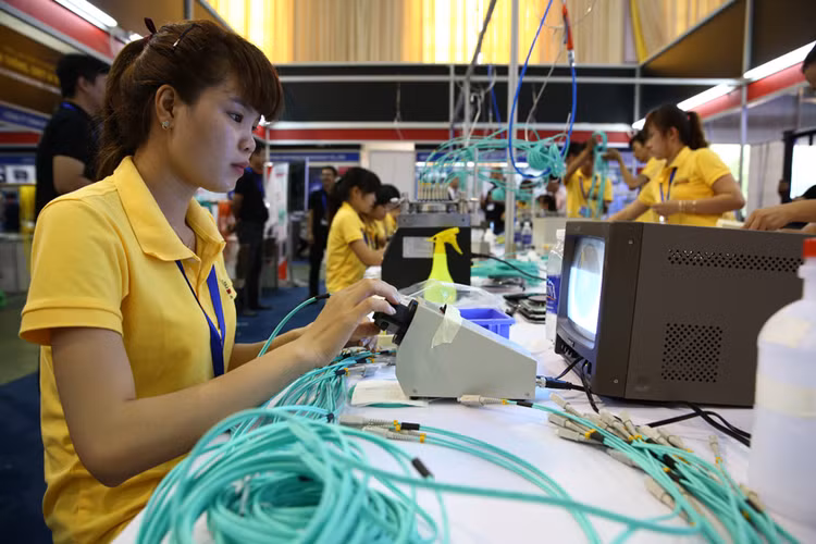 Trên thực tế, việc lựa chọn doanh nghiệp để thanh tra chưa minh bạch, hiệu quả. Ảnh: Tiên Giang