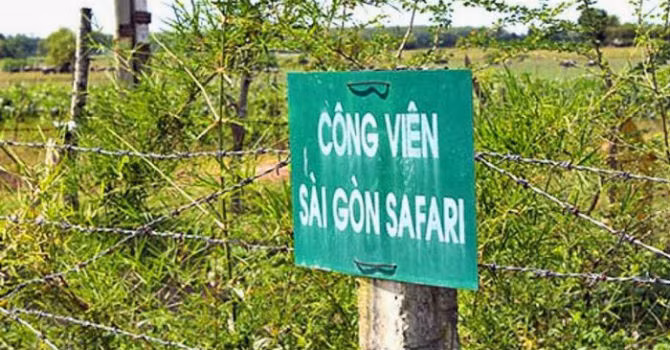 Ảnh Internet