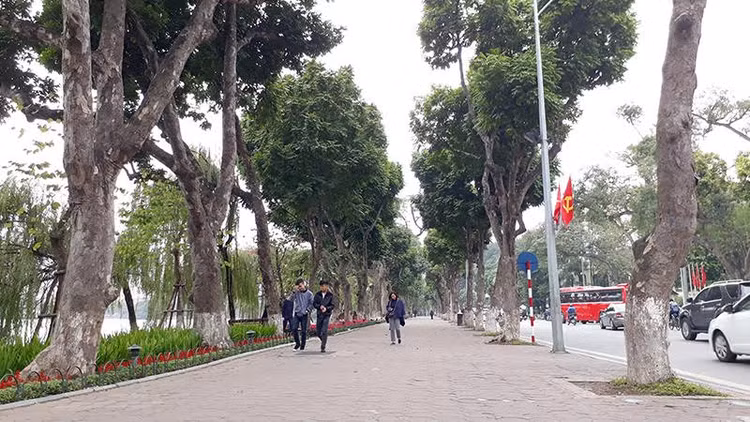Ảnh Internet
