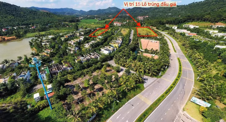 15-lo-trung-dau-gia.jpg