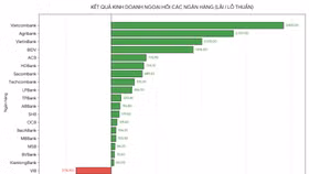 Kết quả kinh doanh ngoại hối các ngân hàng 6 tháng đầu năm 2026. Nguồn: BCTC các ngân hàng