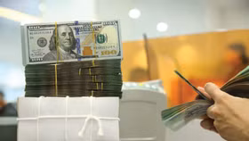 Tỷ giá USD/VND trên thị trường liên ngân hàng tính đến cuối tháng 8/2026 đứng ở mức 26.083 đồng/USD, giảm 0,8% so với cuối tháng 7. Ảnh: Nhã Chi