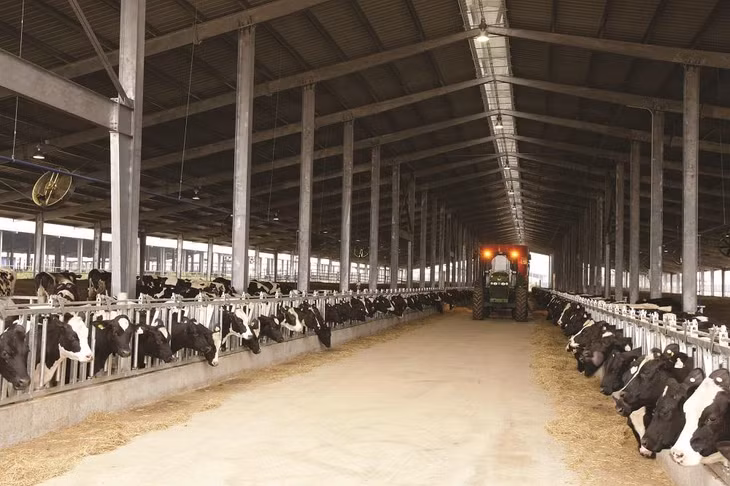 Trang trại TH được gây dựng bài bản, quy mô, chuyên nghiệp với sự góp sức của những chuyên gia hàng đầu quốc tế. Trang trại TH được gây dựng bài bản, quy mô, chuyên nghiệp với sự góp sức của những chuyên gia hàng đầu quốc tế.