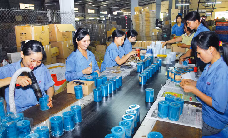 Đại biểu Quốc đề xuất dành 1 triệu tỷ đồng ngân quỹ đang gửi ngân hàng để hỗ trợ nhà ở, đào tạo, chuyển đổi nghề cho người lao động, sớm đưa dòng vốn vào nền kinh tế. Ảnh: Tiên Giang