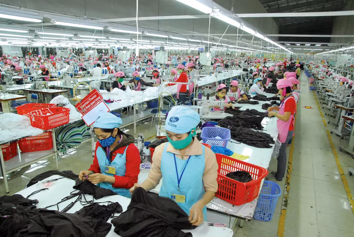 Nhiều tổ chức dự báo tốc độ tăng trưởng GDP sẽ phục hồi trong nửa cuối năm nay. Ảnh: Lê Tiên