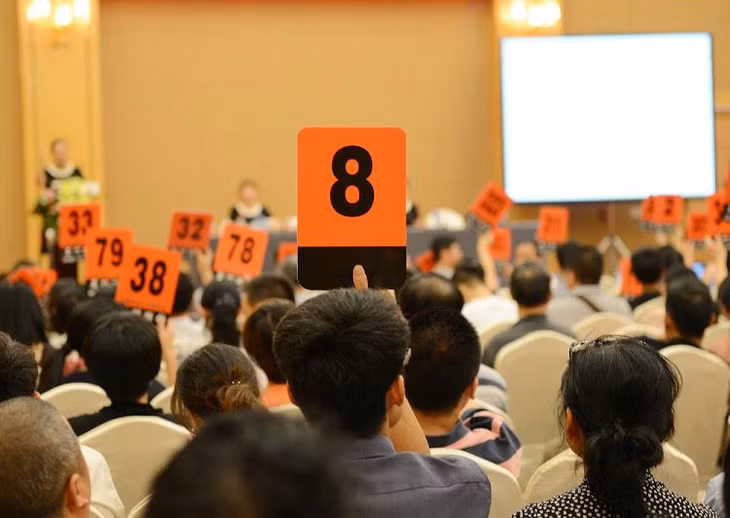 Một số địa phương xuất hiện hiện tượng “cò đấu giá”, “quân xanh - quân đỏ”, để lộ thông tin về người đăng ký tham gia đấu giá. Ảnh minh họa: Internet