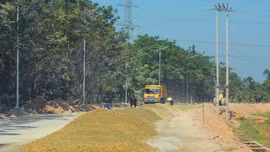 Một số gói thầu yêu cầu đơn vị cung cấp vật tư, vật liệu xây dựng thông thường cho nhà thầu phải có kinh nghiệm thực hiện hợp đồng tương tự. Ảnh: Chiến Thắng