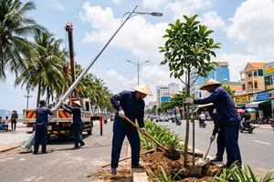 TP.HCM: Công ty CP Phát triển công viên cây xanh và đô thị Vũng Tàu trúng gói thầu chỉnh trang đô thị hơn 27,6 tỷ đồng
