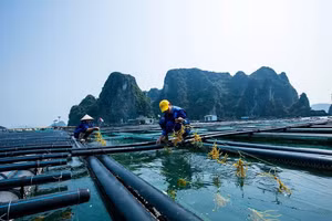 Nhóm Ngân hàng Thế giới hỗ trợ Việt Nam tăng cường kết nối thương mại và sinh kế ven biển